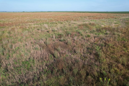 Woodbury County Tillable Farm - image 14