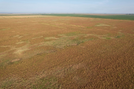 Woodbury County Tillable Farm - image 10
