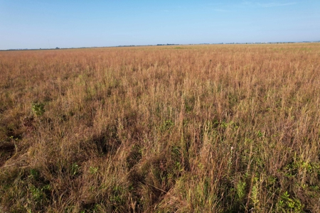 Woodbury County Tillable Farm - image 6