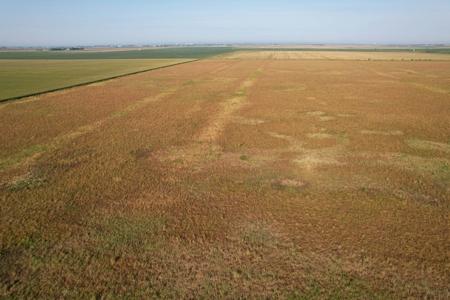 Woodbury County Tillable Farm - image 9