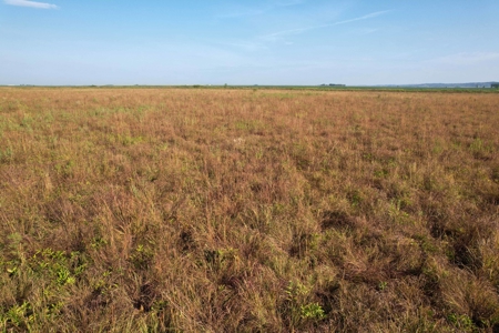 Woodbury County Tillable Farm - image 19