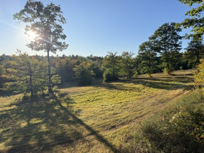 40 Deer Run | 32.19 Acres with Trails, Timber & Recreational Opp - image 19