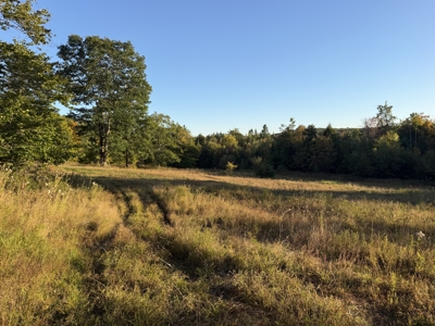 40 Deer Run | 32.19 Acres with Trails, Timber & Recreational Opp - image 20