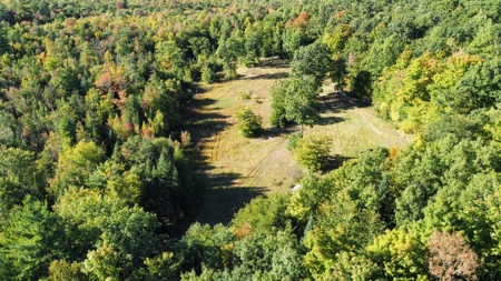 40 Deer Run | 32.19 Acres with Trails, Timber & Recreational Opp - image 7