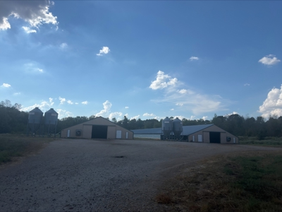 Winnsboro Small Bird Poultry Farm Operation - image 1