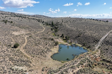 Eastern Oregon Hillside Springs South of Burns - image 26