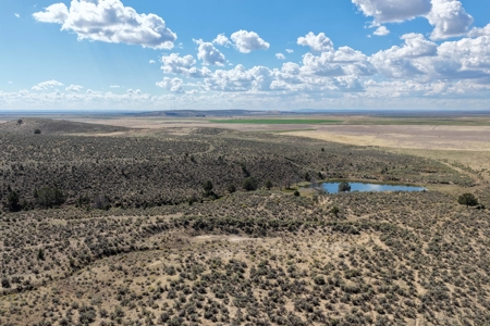 Eastern Oregon Hillside Springs South of Burns - image 29