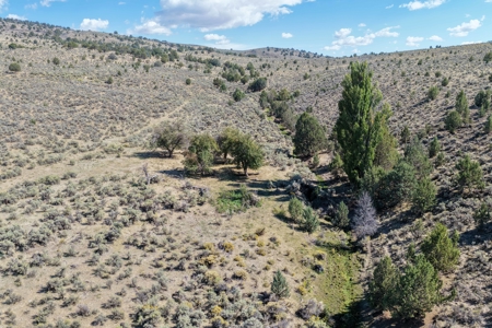 Eastern Oregon Hillside Springs South of Burns - image 31
