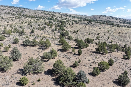 Eastern Oregon Hillside Springs South of Burns - image 33