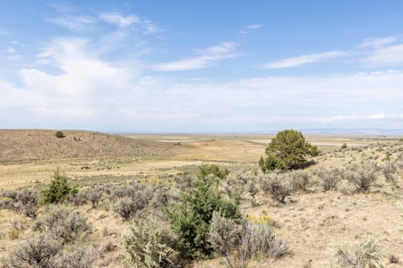 Eastern Oregon Hillside Springs South of Burns - image 2