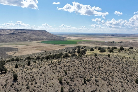 Eastern Oregon Hillside Springs South of Burns - image 34