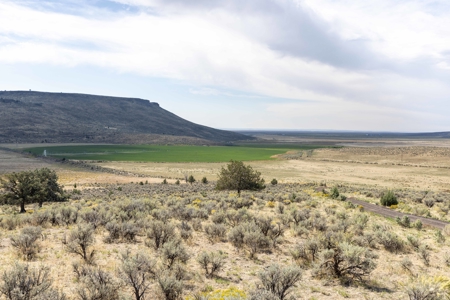 Eastern Oregon Hillside Springs South of Burns - image 3