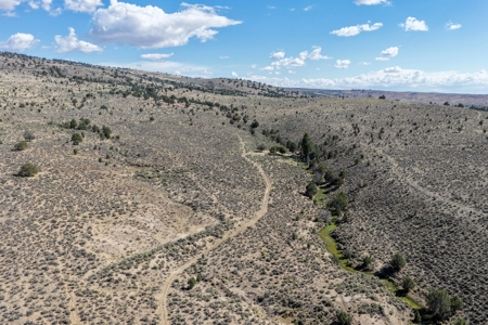Eastern Oregon Hillside Springs South of Burns - image 28
