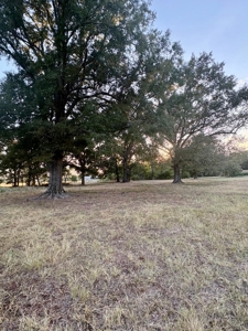 11.49 Acres-3Br Country Home-Pond & Storm Cellar - image 32