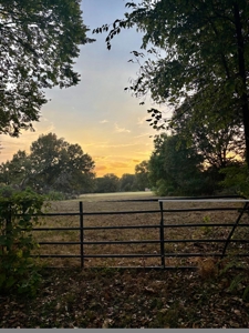 11.49 Acres-3Br Country Home-Pond & Storm Cellar - image 38