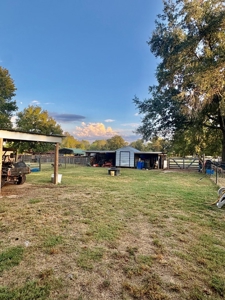 11.49 Acres-3Br Country Home-Pond & Storm Cellar - image 22