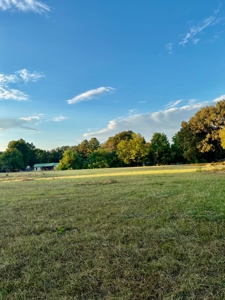 11.49 Acres-3Br Country Home-Pond & Storm Cellar - image 34