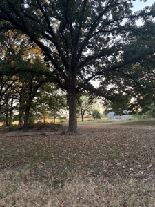 11.49 Acres-3Br Country Home-Pond & Storm Cellar - image 40