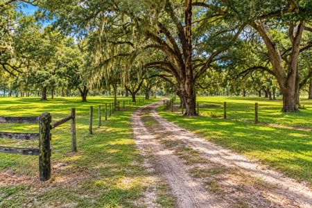 Your Country Dream Awaits — 4Br/2Ba Home On 69 Beautiful Acres! - image 43