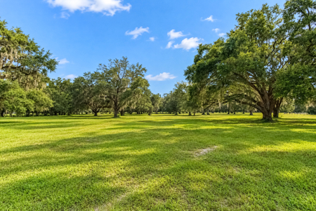 Your Country Dream Awaits — 4Br/2Ba Home On 69 Beautiful Acres! - image 45