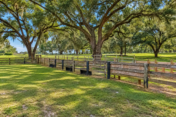 Your Country Dream Awaits — 4Br/2Ba Home On 69 Beautiful Acres!