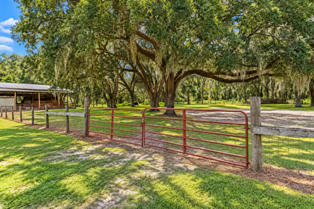 Your Country Dream Awaits — 4Br/2Ba Home On 69 Beautiful Acres! - image 37