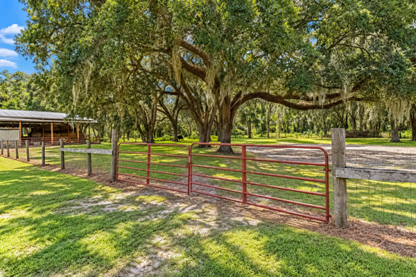 Your Country Dream Awaits — 4Br/2Ba Home On 69 Beautiful Acres!