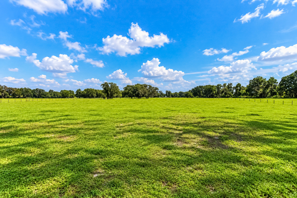 Your Country Dream Awaits — 4Br/2Ba Home On 69 Beautiful Acres!