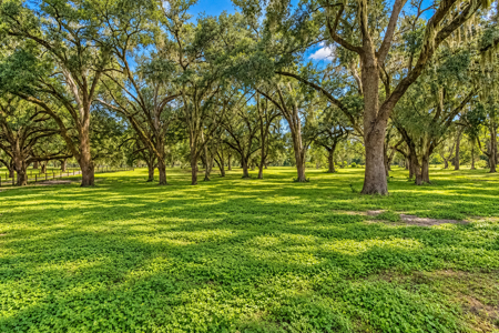 Your Country Dream Awaits — 4Br/2Ba Home On 69 Beautiful Acres! - image 42