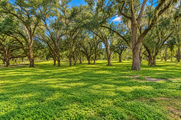 Your Country Dream Awaits — 4Br/2Ba Home On 69 Beautiful Acres!