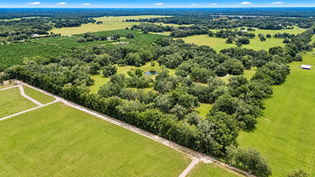 Your Country Dream Awaits — 4Br/2Ba Home On 69 Beautiful Acres! - image 50