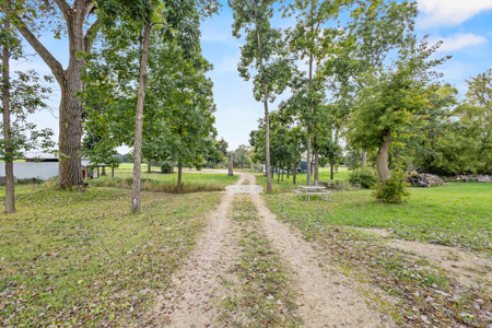 Columbia County 9 Bedroom Farmette on 19.5 Acres - image 45