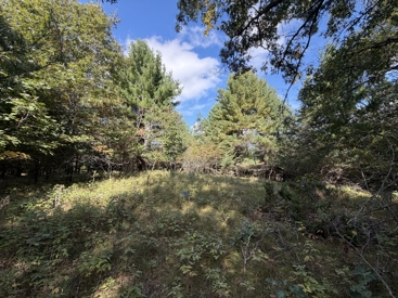 Listing 28
