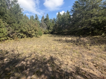 Listing 28