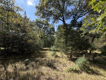Listing 28
