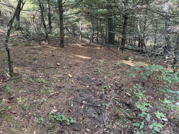 Listing 28