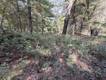 Listing 28