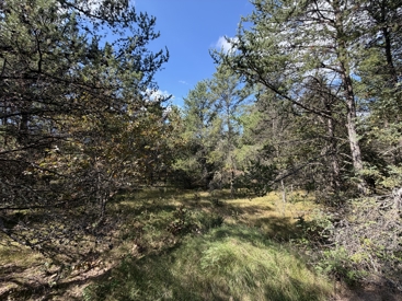 Listing 28