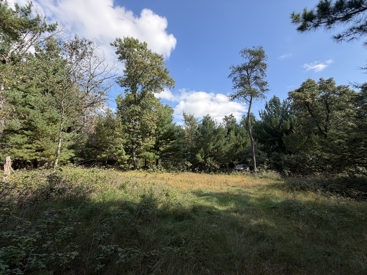 Listing 28