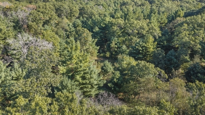 Listing 28
