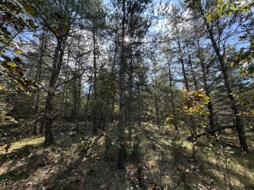 Listing 28