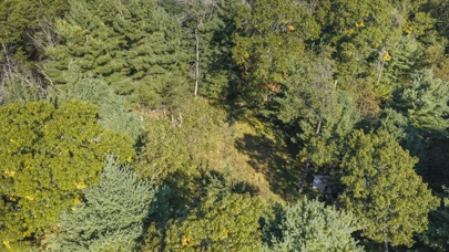 Listing 28