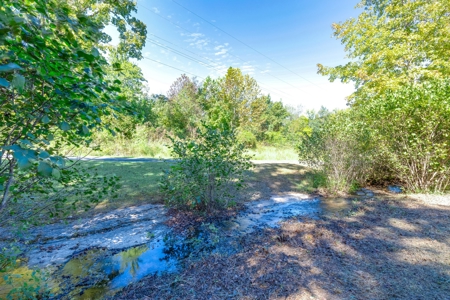 Country Home for Sale in Lewis County, Tennessee - image 8