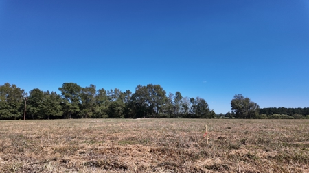 Great Location Outside of Wallace, NC - image 1