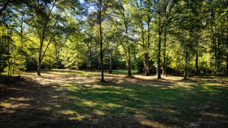 Custom 2004 home on 43 acres of rolling Sumter County land - image 46