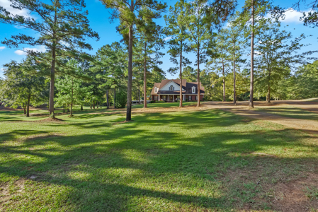 Custom 2004 home on 43 acres of rolling Sumter County land - image 2