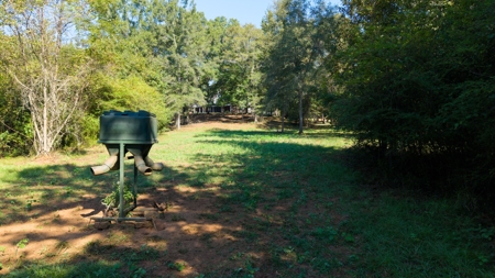 Custom 2004 home on 43 acres of rolling Sumter County land - image 48