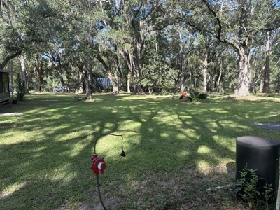Bring the Farm Animals and the Kids. - image 6