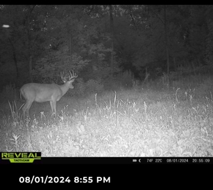 Listing 38