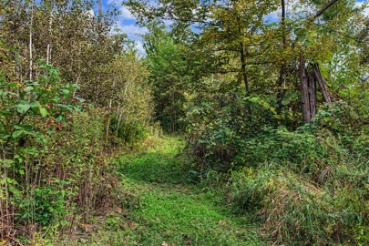 Listing 38